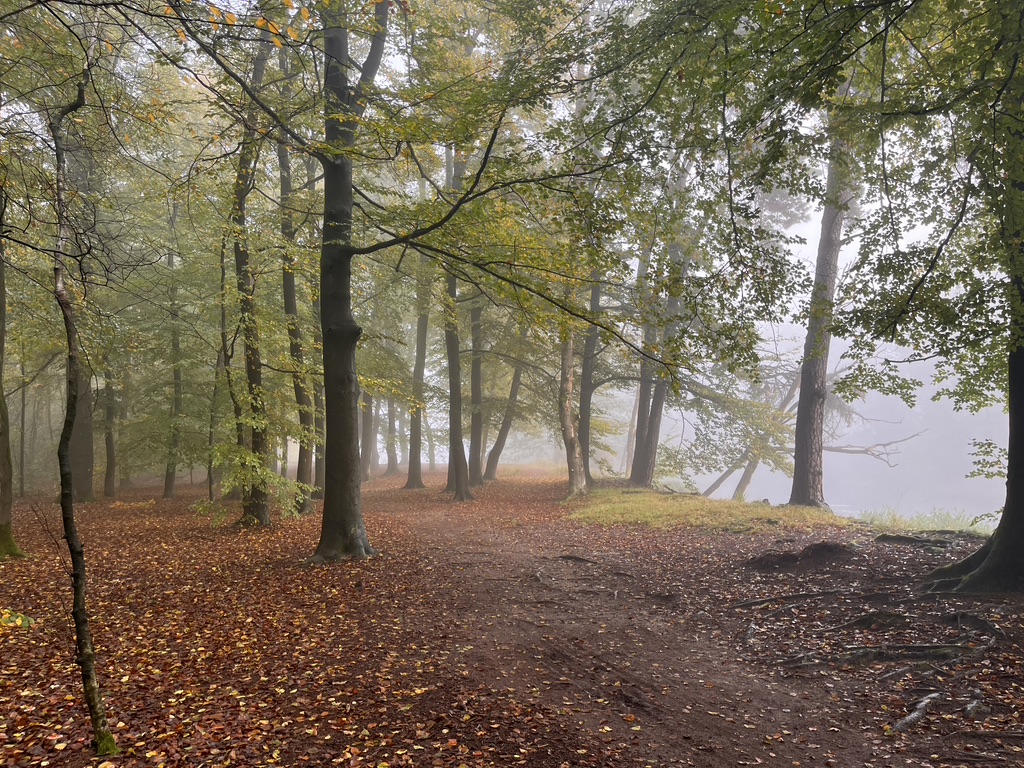 c1e34704-df66-4ccd-b242-a49689d2ad09_1_105_c