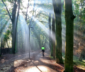 Waarom Buiten Bewegen in de Herfst Cruciaal is voor Vrouwen in de Overgang